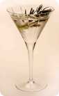 martini breif