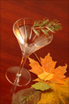 ElitRosemaryMartini_jpg.jpg