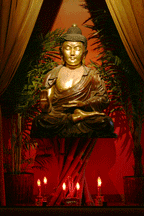 DB_buddha.gif