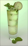 Malibu_ImpassionedMojito2.jpg