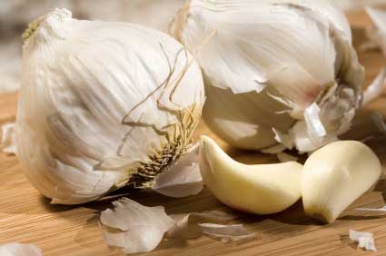 garlic.jpg