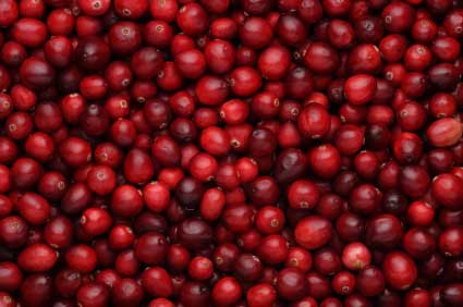 cranberries_web.jpg