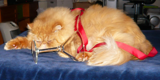 winston-2008.jpg