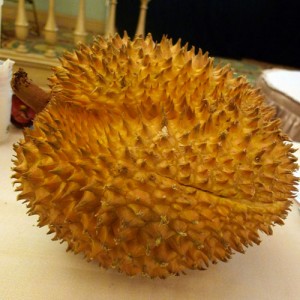 durian