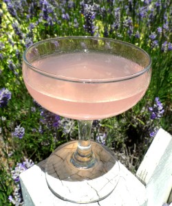 rhubarbcosmo