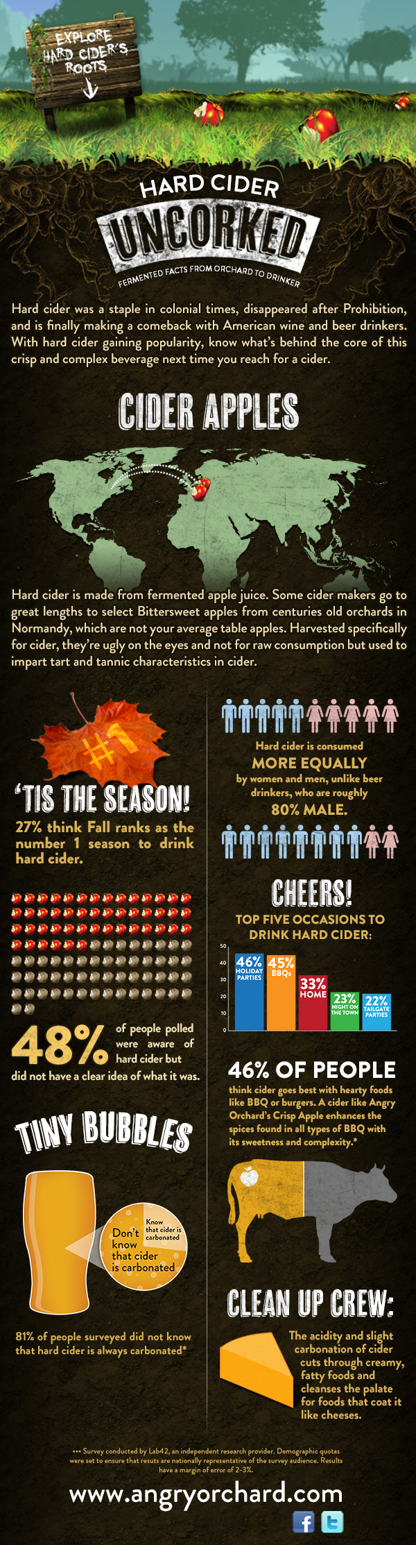 Cider Infographic