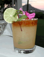 maitai_orchids