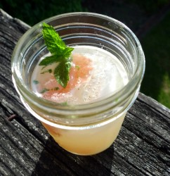 tequilagrapefruit2