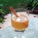 Scotch Spice Drink Icon